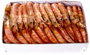 Gambon Arg. L2 20/30