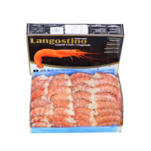 Gambon Austral Pelado 10/30