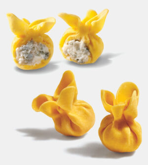 Fiocchetti al Gorgonzola